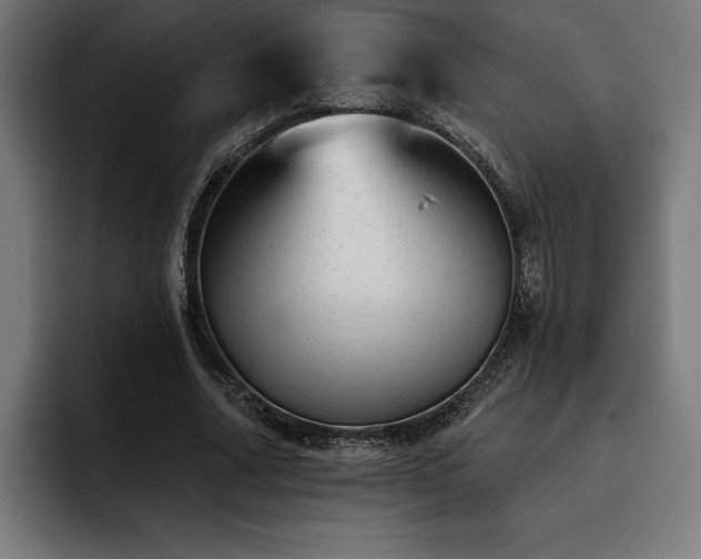 X0000093420682200710121144