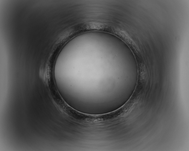X0000093420683200710121144