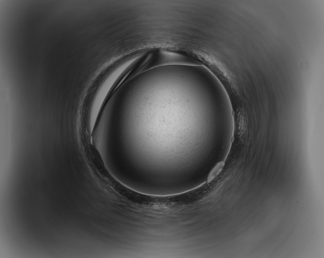X0000093420684200710121144