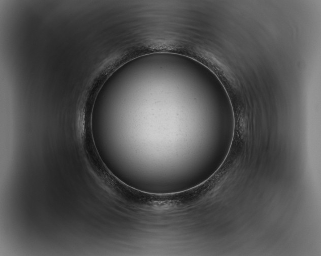 X0000093420686200710121144