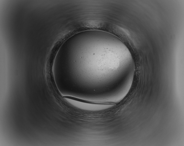X0000093420688200710121144
