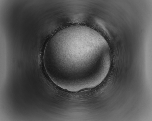 X0000093420689200710121144