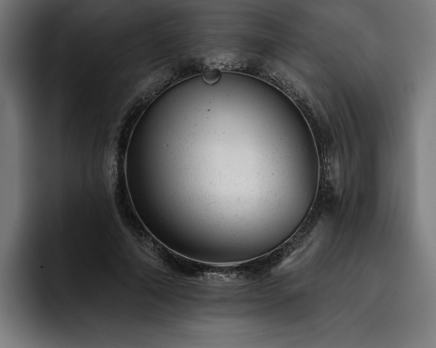 X0000093420690200710121144