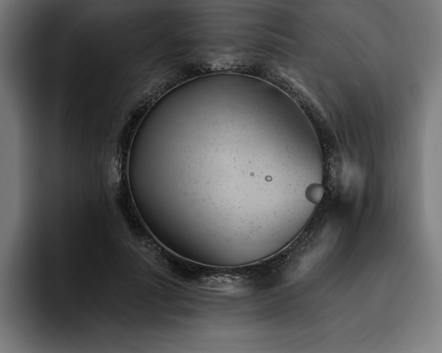 X0000093420691200710121144