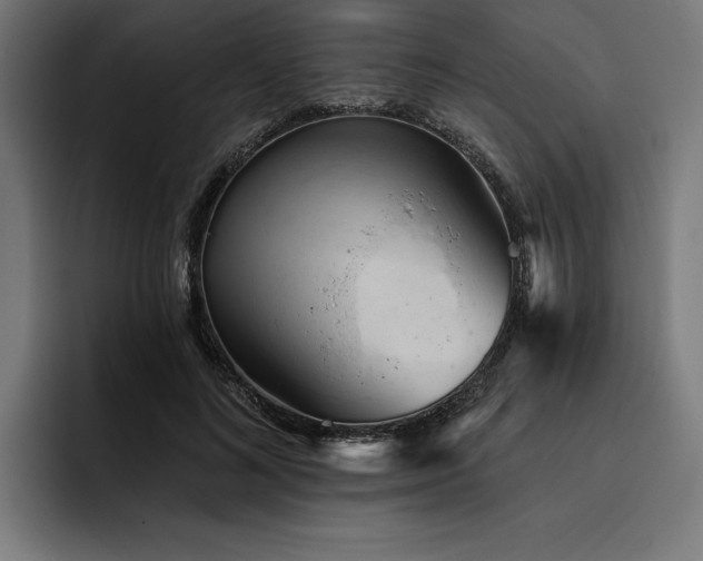 X0000093420692200710121144