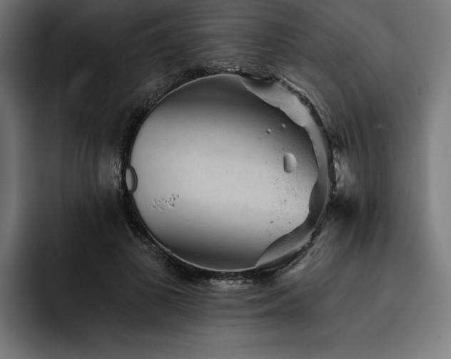 X0000093420693200710121144