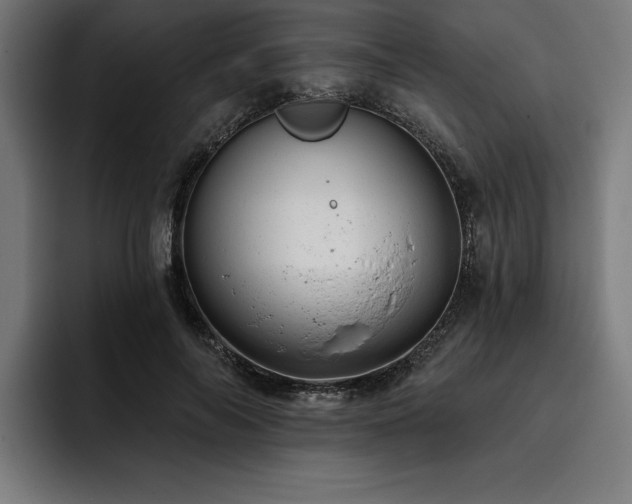 X0000093420694200710121144
