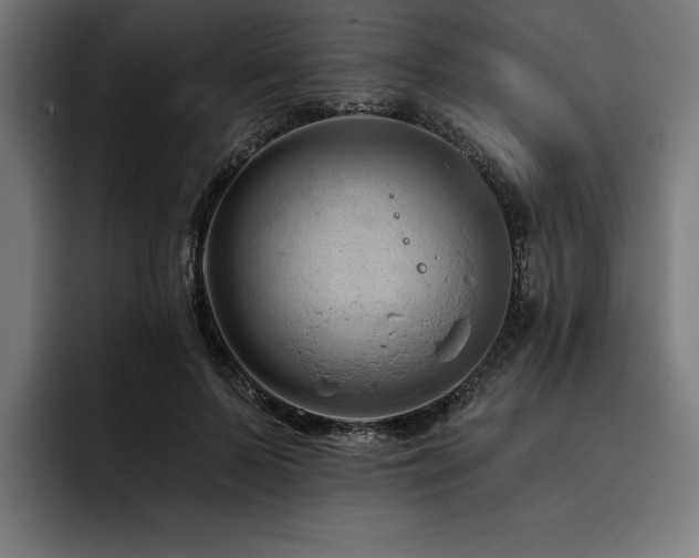 X0000093420695200710121144