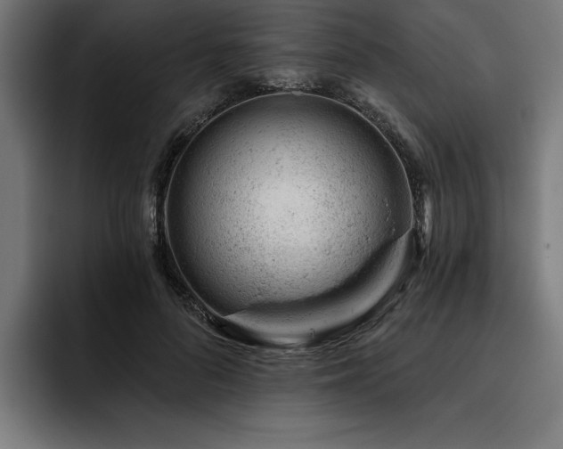 X0000093420696200710121144