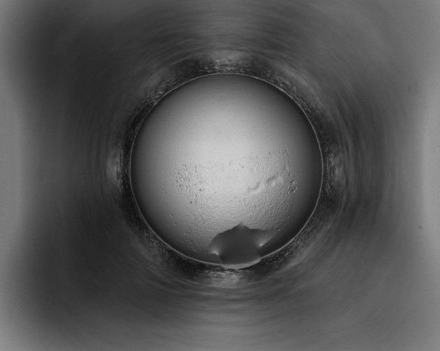 X0000093420698200710121144