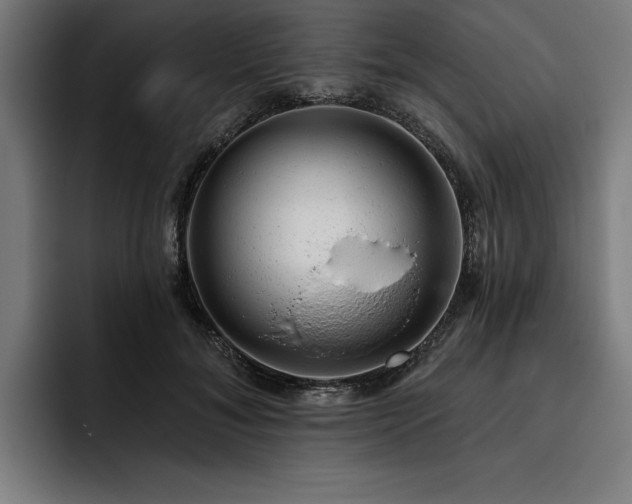 X0000093420700200710121143