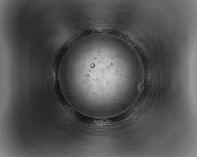 X0000093420703200710121143