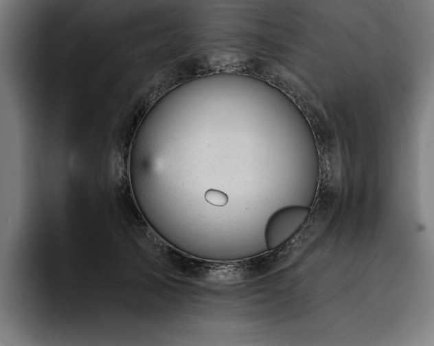 X0000093420705200710121143