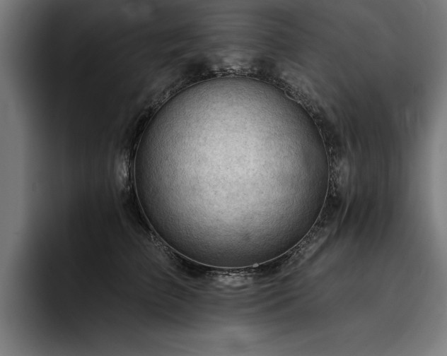 X0000093420709200710121143