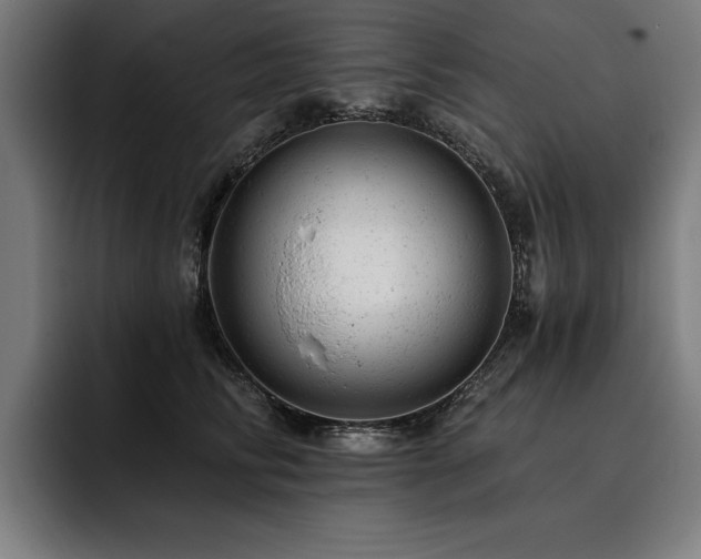 X0000093420710200710121143