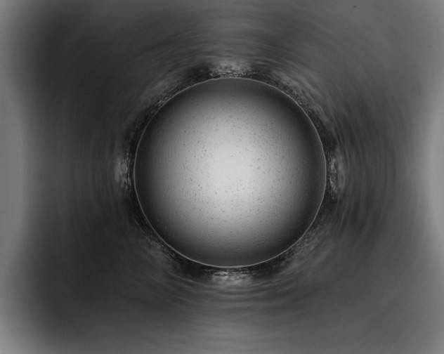 X0000093420714200710121143