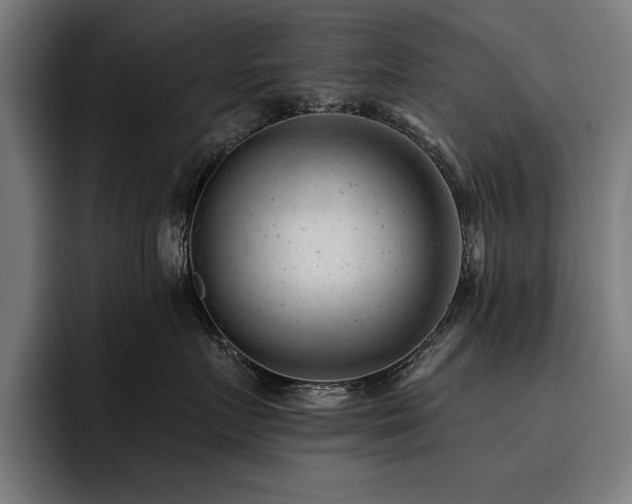 X0000093420719200710121143