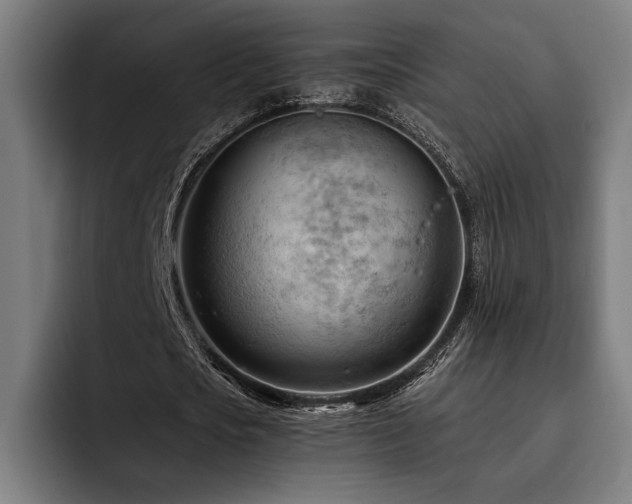 X0000093420721200710121143