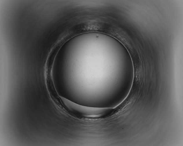 X0000093420722200710121143