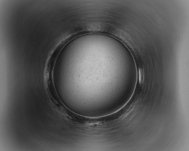 X0000093420723200710121143