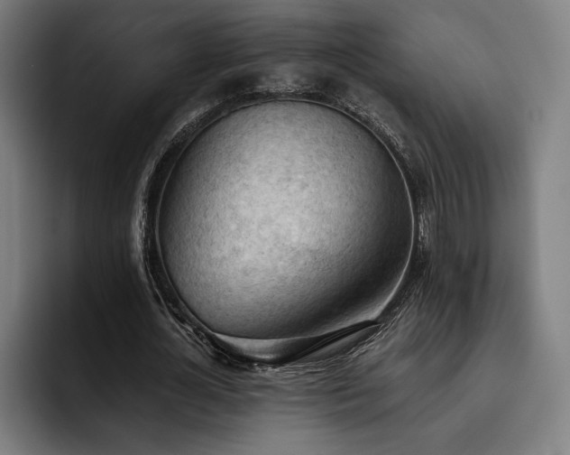 X0000093420724200710121143
