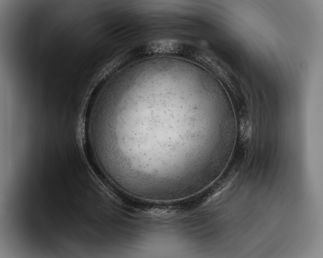 X0000093420725200710121143