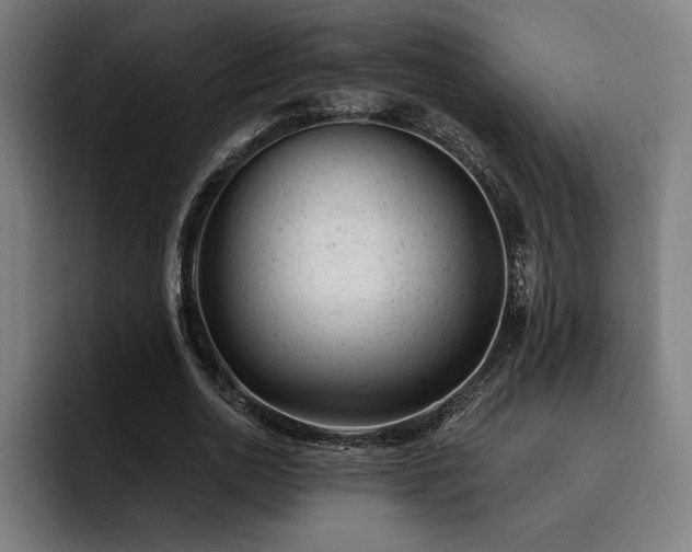 X0000093420726200710121143