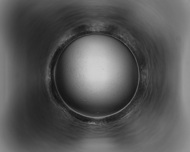 X0000093420727200710121143