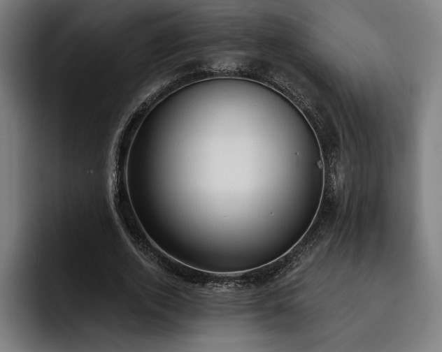 X0000093420728200710121143