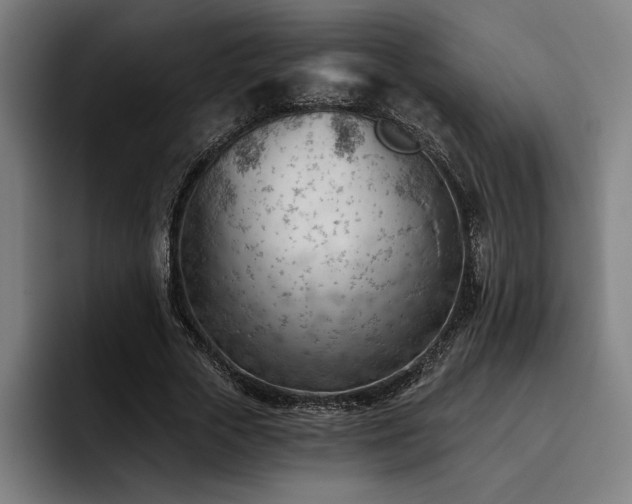 X0000093420729200710121143