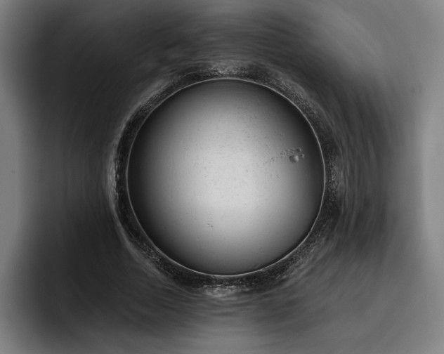 X0000093420730200710121143