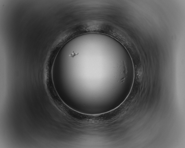 X0000093420732200710121143