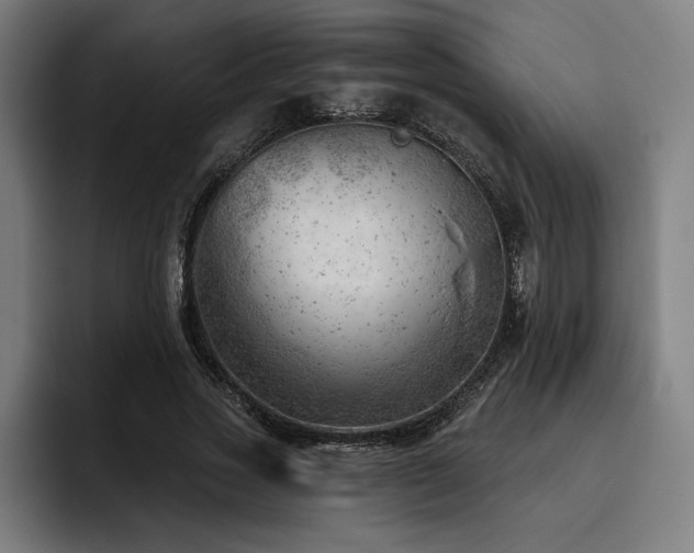 X0000093420733200710121143