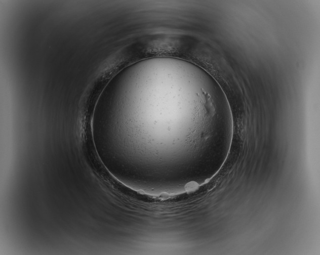 X0000093420735200710121143