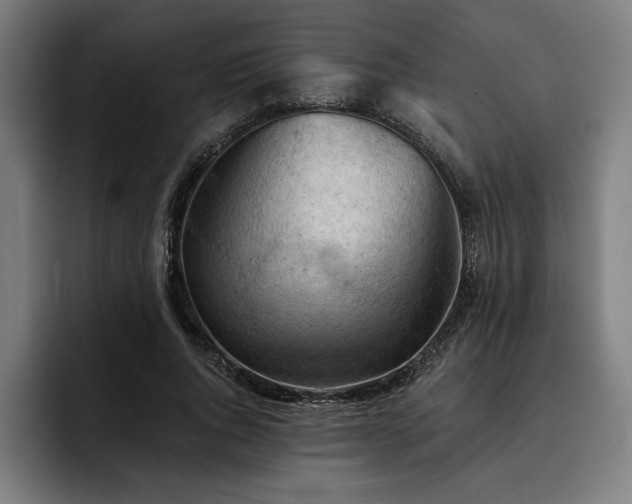 X0000093420736200710121143