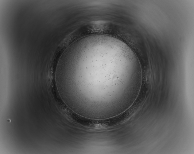 X0000093420737200710121143