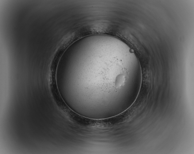 X0000093420738200710121143