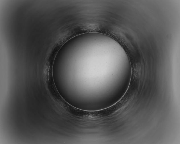X0000093420739200710121143