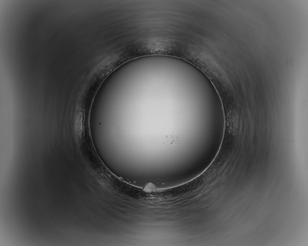 X0000093420740200710121143