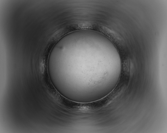 X0000093420741200710121143