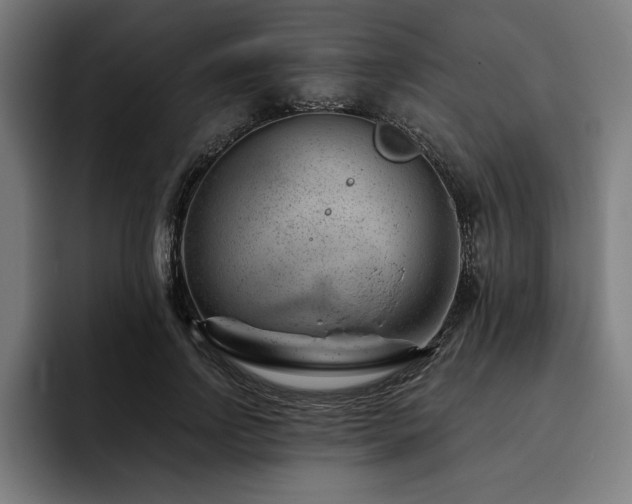 X0000093420742200710121143