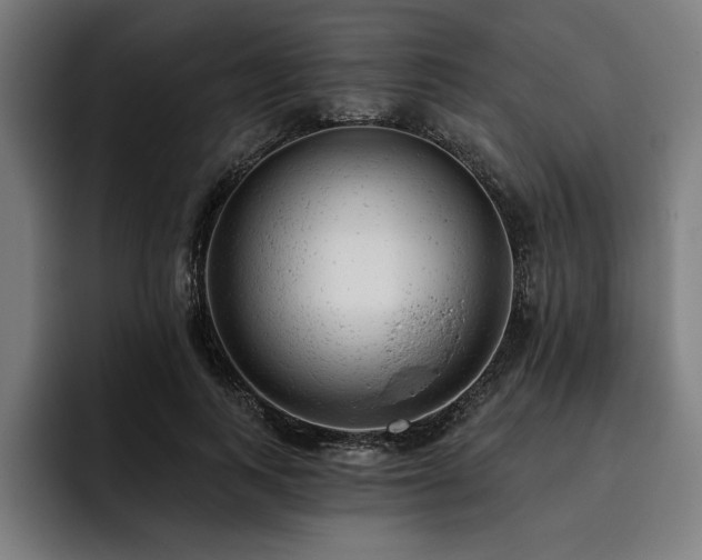 X0000093420743200710121143