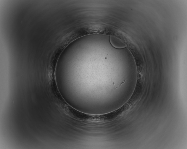 X0000093420745200710121143