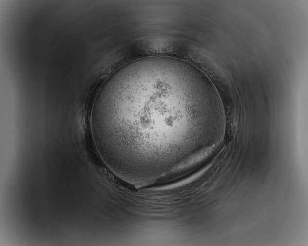 X0000093420746200710121143