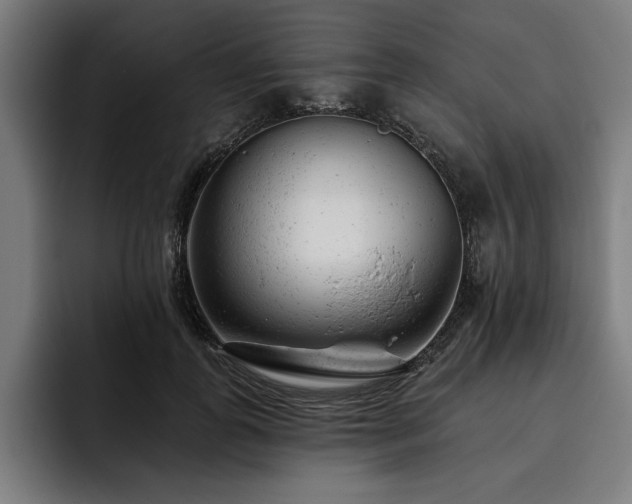 X0000093420747200710121143