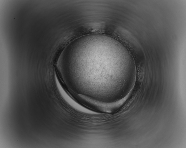 X0000093420748200710121143