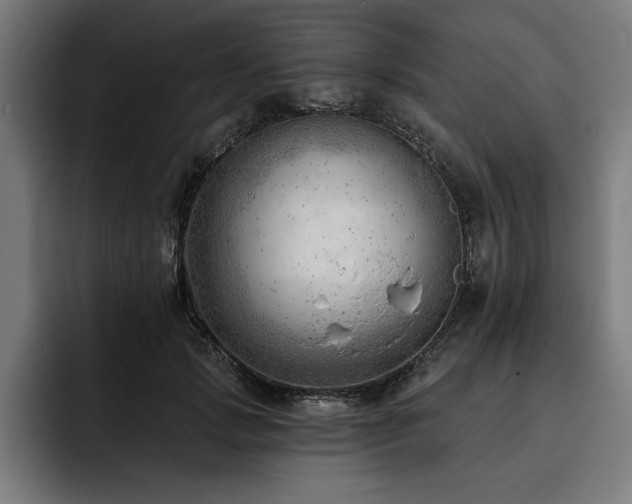 X0000093420749200710121143