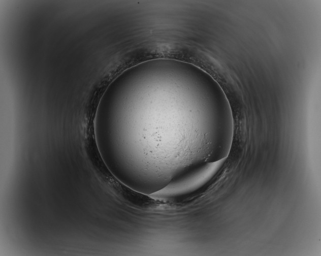 X0000093420750200710121143