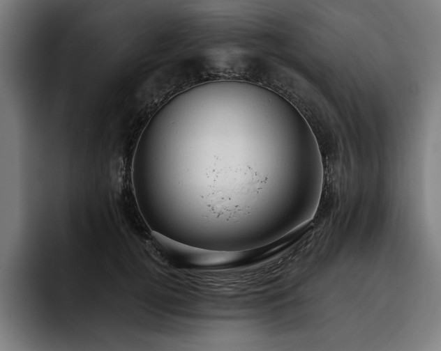 X0000093420752200710121143