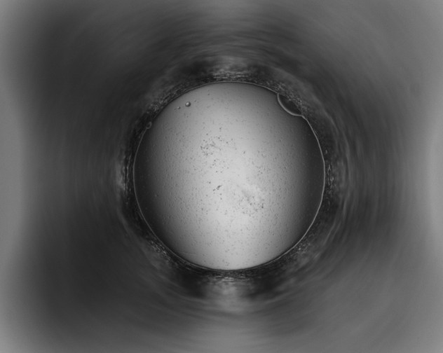 X0000093420755200710121143